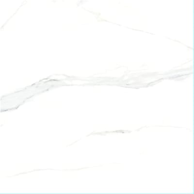 600X600MM DF60199PS (A) (BMS)