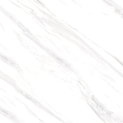 600X600MM S76019 (A) (PX) (PGP)