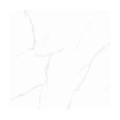 600X600MM S76025 (A) (PX) (PGP)